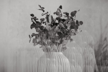 Bouquet de fleurs séchés capturé avec un prisme
