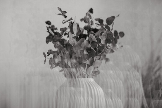 Bouquet de fleurs s&eacute;ch&eacute;s captur&eacute; avec un prisme