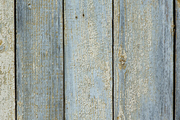 Fototapeta premium Texture of old wood, wooden fence