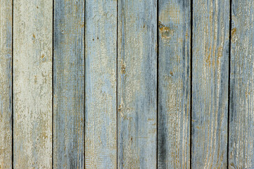 Texture of old wood, wooden fence