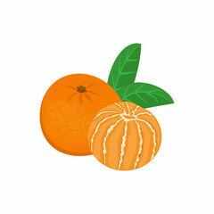 Whole and peeled tangerines or tangerines, isolated on white background. vector illustration