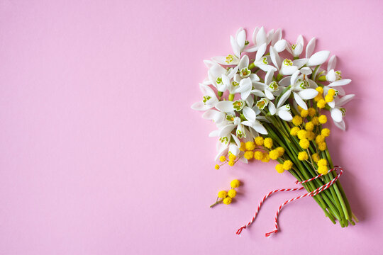 Bouquet of spring flowers snowdrops  and mimosa with red and white rope, on a pink background, space for text. Greeting card for congratulations on Women's Day March 8, March 1.