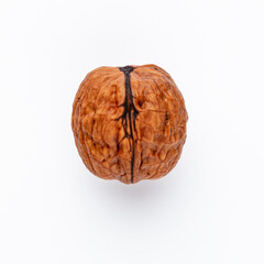 One single Walnut on white background.