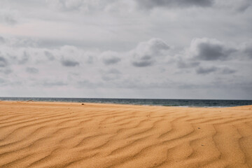 Fototapeta na wymiar Sandy beach on the Black Sea coast in spring cloudy weather. Clouds on the gray sky.
