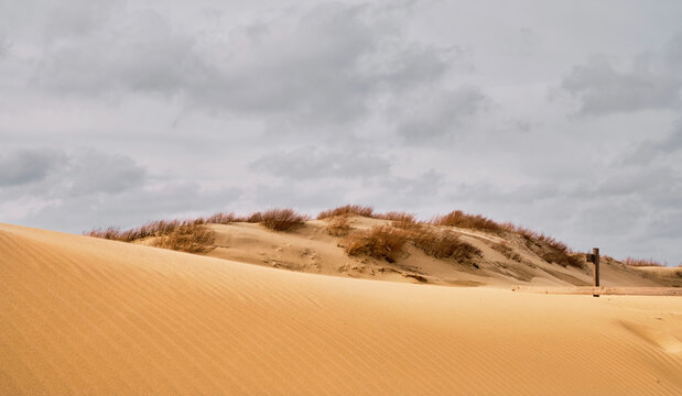 Sandy beautiful dunes on the coast of the sea, under the open sky, clouds in cloudy weather. Shrubs in the background. Natural background for summer design.