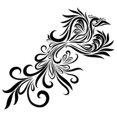 Fototapeta premium eagle elegant flying wings ornate graceful swirl feather fantasy ornament logo predator hunter black color