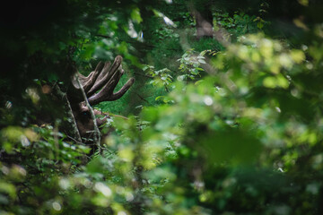 Moose In Forest
