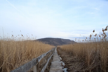 Old wooden boardwalk with a railing in the Sic reed reservation , Romania.