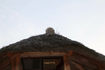 Close up of a traditional roof made from wheat with copy space.