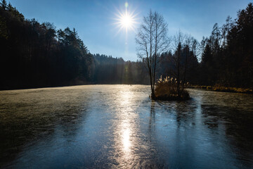 Obraz premium Cold winter morning in the park