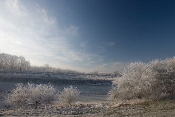 Obraz na płótnie Canvas panoramic view on meadows in winter