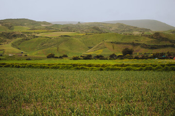 Paisaje de un valle con huertas y montañas alrededor