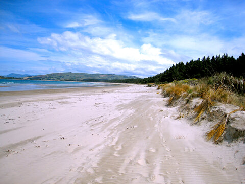 Karitane, New Zealand