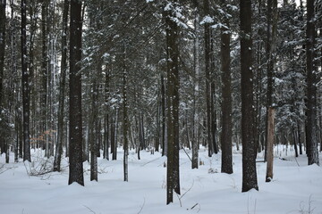 La Plaine 18 F&eacute;vrier 2022