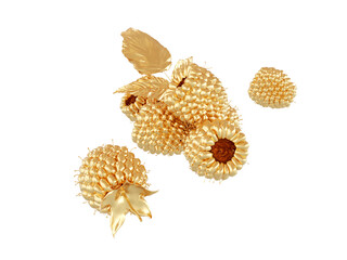 Conceptual image Golden berries isolated on a white background