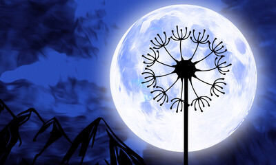 Dandelion, Make a Wish Silhouette under full Moon at night illustration