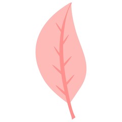 pink leaves plant