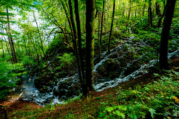 プリトヴィツェ湖群国立公園