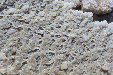 Close up of salt background. Natural salt. Dead Sea salt mineral natural formations. Salt crystals from Dead sea. View of Dead Sea coastline. Texture of Dead sea. Salty seashore rocks