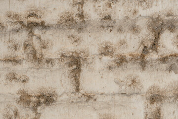 stone wall texture