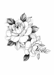 Flower and Leaves drawing Outline, Vector hand drawn, flower Black ink sketch
