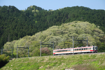 新緑の東武日光線を走る6050型普通列車