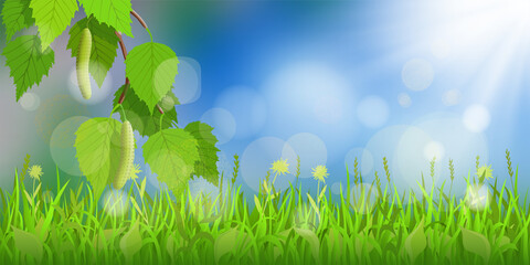 Fototapeta na wymiar Vector spring background. Grass, birch branch and blurry sky. Bokeh effect, sun rays.