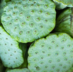 Bunch of Lotus for sale at the street market