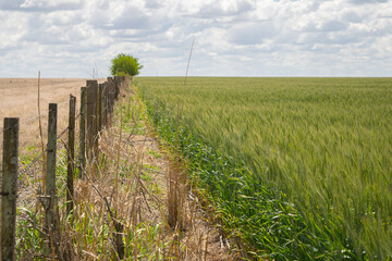 Obraz premium Internal peace