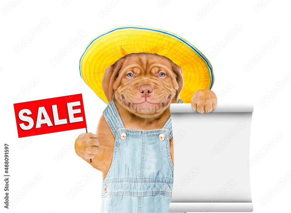 Poster Puppy wearing  hat and overalls shows empty list and sales symbol. Isolated on white background