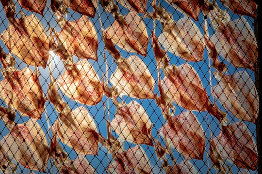 sun dry squid laying on fishing net against clear blue sky