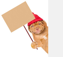 Smiling puppy wearing a warm winter hat holding blank banner mock up on wood stick and looks above empty white board. isolated on white background
