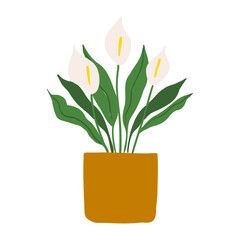 Indoor potted plant peace lily illustration