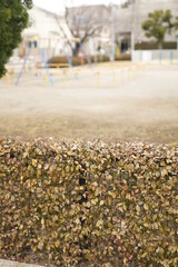 野原, 風景, 空, 農学, 自然, ファーム, 青, 浜, 植える, ルーラル, 道, 惰性で進む, 食べ物, 木, サマータイム, 緑, いなか, 岩, 雲, 水, 農業, 季節, 秋, 雲, 地球の