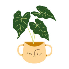 Indoor potted plant green velvet alocasia illustration