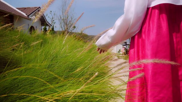 Girl wearing hanbok, the national costume of Korea. She walked through the grass with flowers and touched her hand touch the grass.