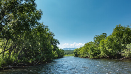 The river flows calmly between the banks with lush green vegetation. Ripples on the water. In the distance, a mountain range is visible against the blue sky. A sunny summer day. Kamchatka.