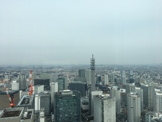 Fototapeta premium 横浜市の風景、神奈川、日本