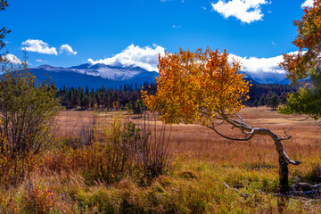 Rocky Mountain National Park