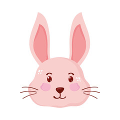 rabbit little head animal isolated
