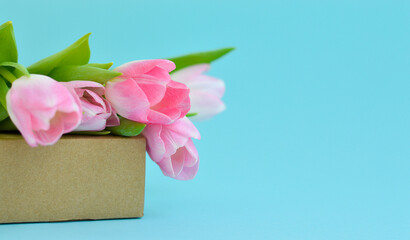 Spring flowers. Pink tulips on a box. Congratulation.The concept of spring gifts and holidays