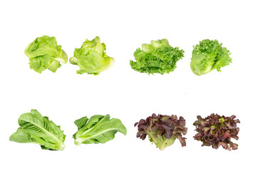 Group of various fresh organic salad vegetables on isolated white background - obrazy, fototapety, plakaty