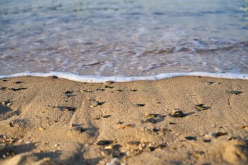 ちょっとお出かけ