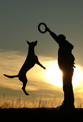 Silhouettes of a man and a dog against the background of a sunset, the owner trains his pet in nature, the Belgian Shepherd Malinois