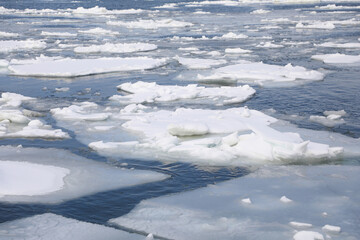 オホーツク海の流氷