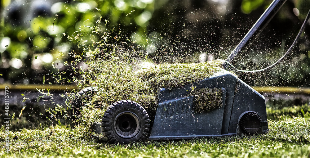 Wall mural A closeup shot of a lawnmower cutting grass