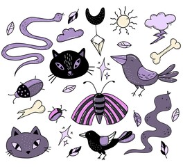 set of magical amulets, symbols and witchcraft beasts. Black cat and snake, crow and beetle, moth and butterfly. Vector illustration. Isolated elements