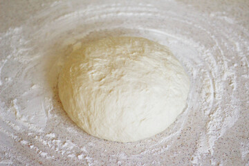 yeast dough for pizza and bread