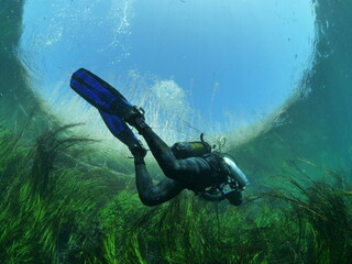 scuba diver filming underwater freshwater river diving with green sea plants and vegetation