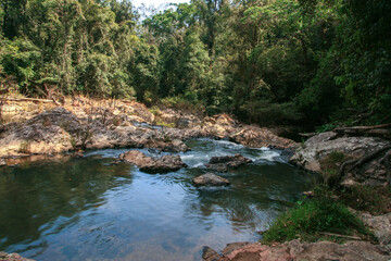 Stream in the tropical forest in Khao Yai National Park of Thailand